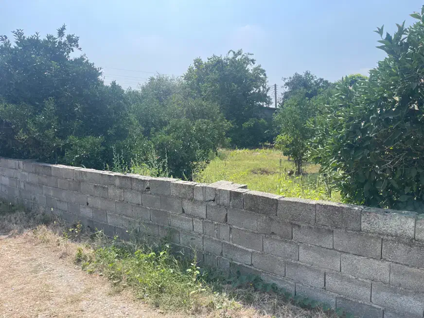 ۲۵۰ متر زمین بافت مسکونی قابل ساخت ویلا/شمال|فروش زمین و ملک کلنگی|تهران, اکباتان|دیوار