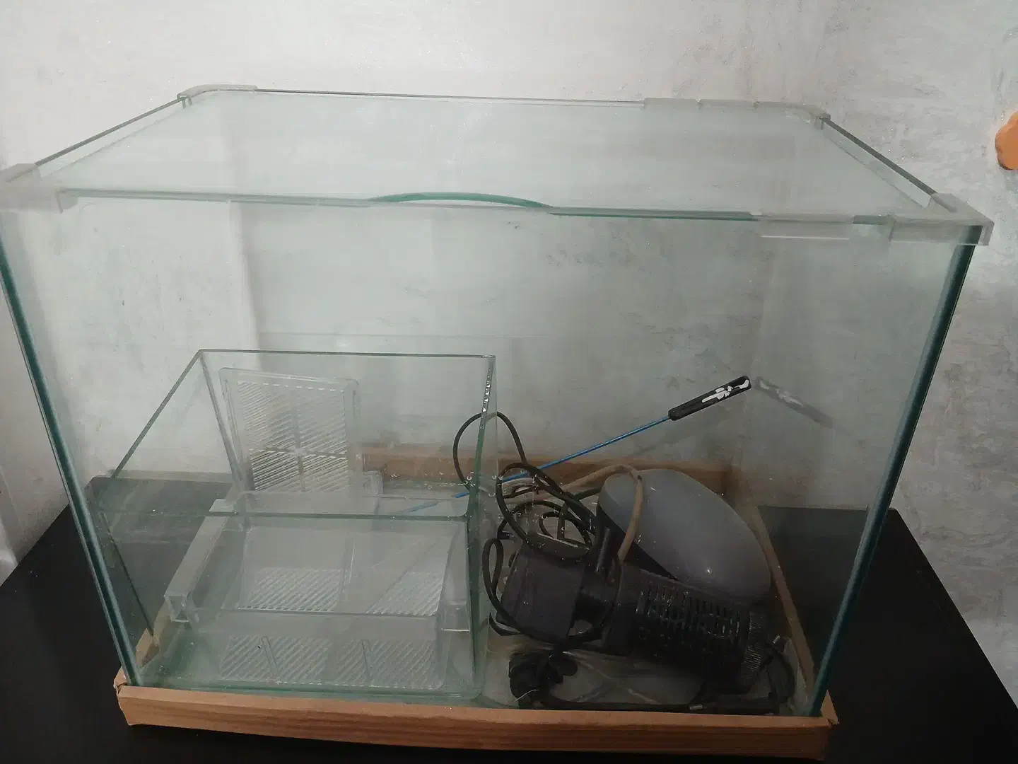 اکواریوم|لوازم جانبی حیوانات|شاهین‌شهر, مسکن مهر|دیوار