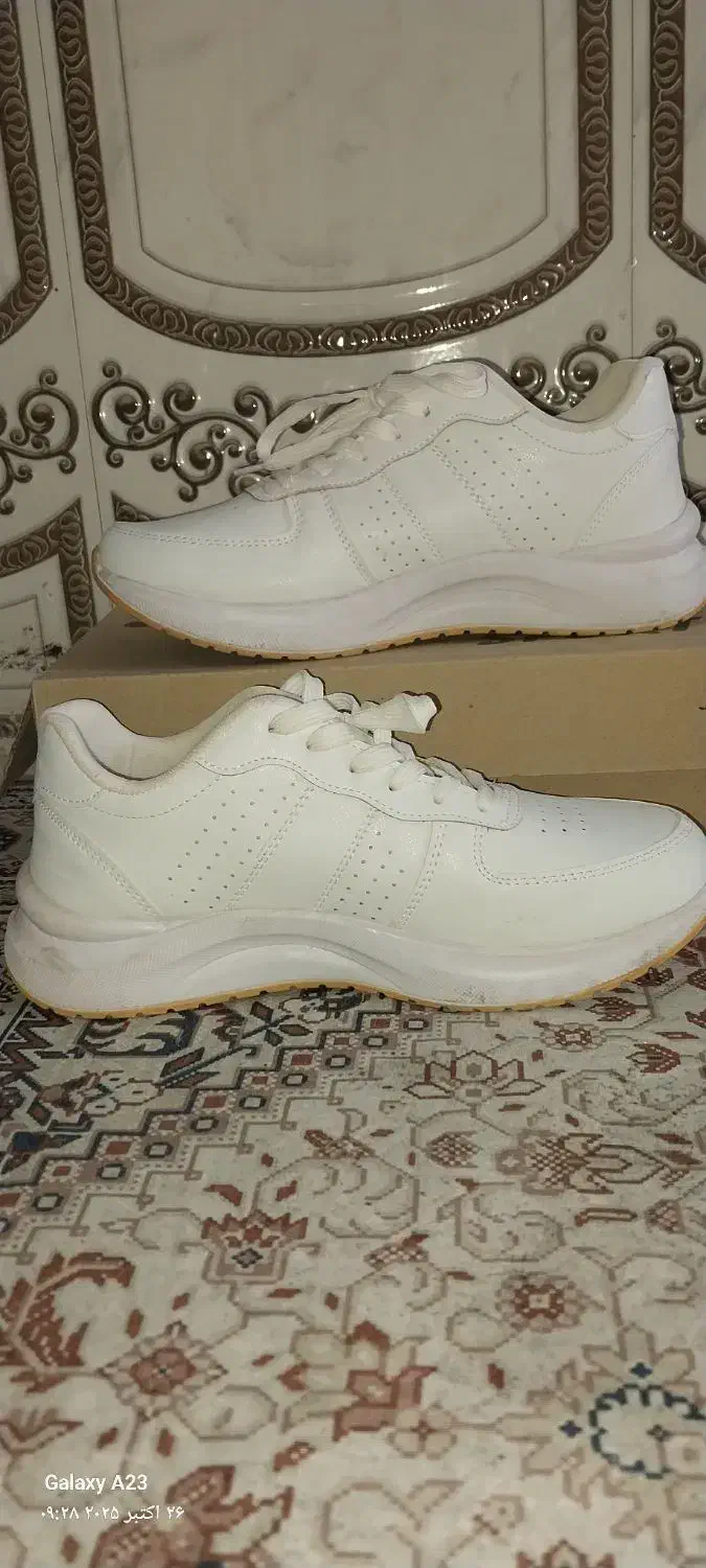 کفش اسپورت|کیف، کفش، کمربند|باوی, |دیوار