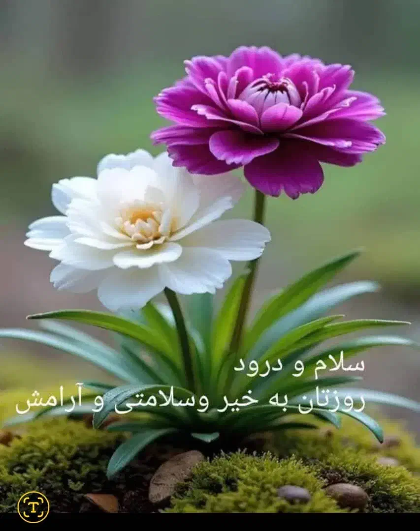 استخدامنیروی خدماتی|استخدام سرایداری و نظافت|شیراز, صنایع الکترونیک|دیوار