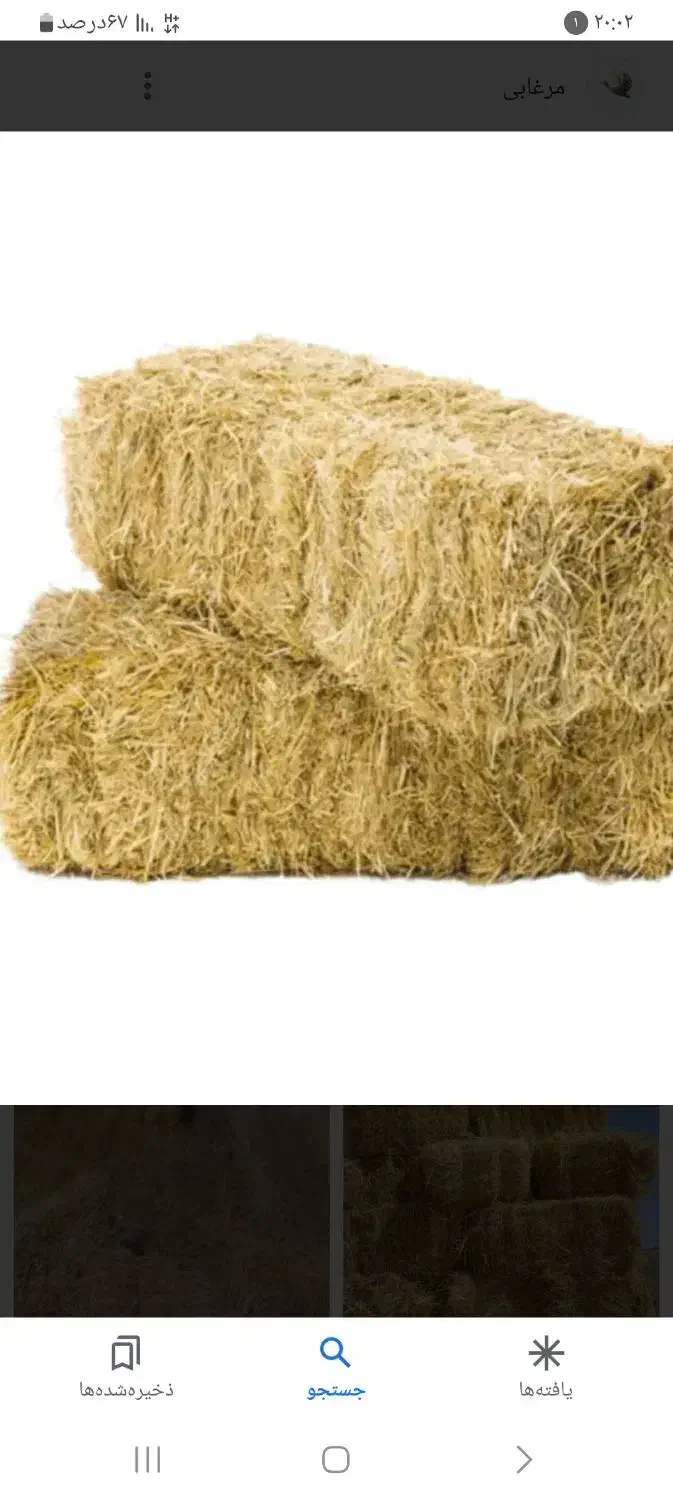 گاه کلش گندم|خدمات باغبانی و درختکاری|اسدآباد, |دیوار