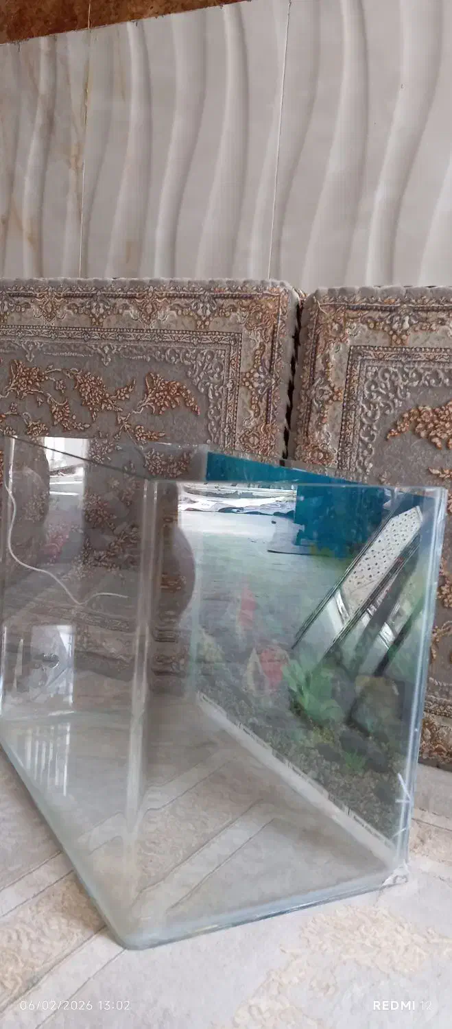 آکواریوم شیشه خم|ماهی|مریوان, |دیوار