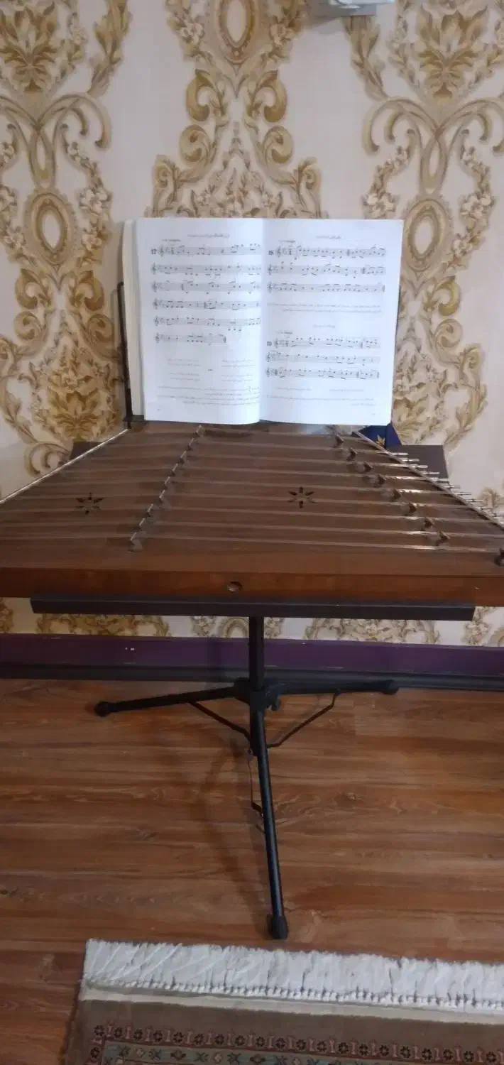 سنتور  تک مهر موسوی|سازهای سنتی|ساری, |دیوار