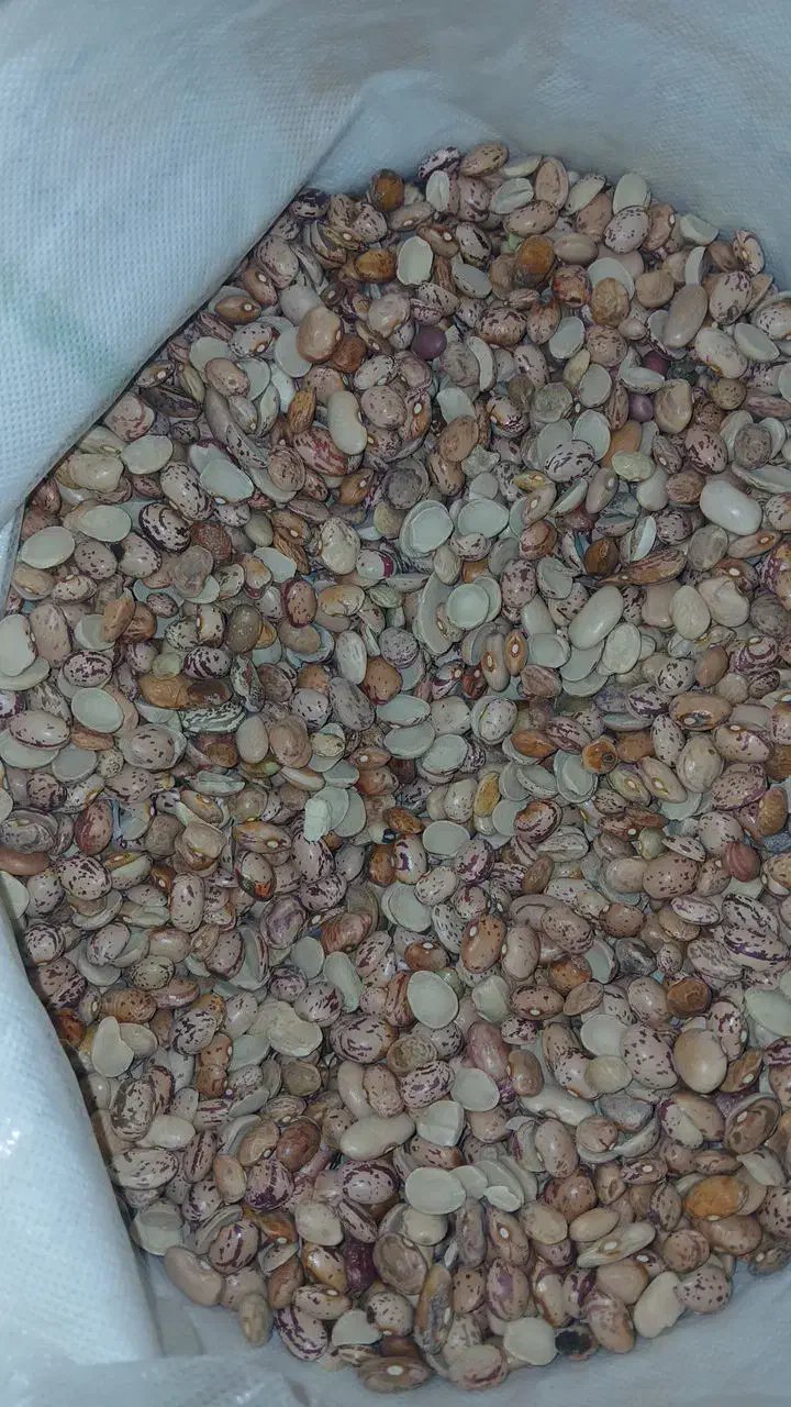 لوبیا چیتی ایرانی کیلوی 200|خوردنی و آشامیدنی|مشهد, شهید معقول|دیوار