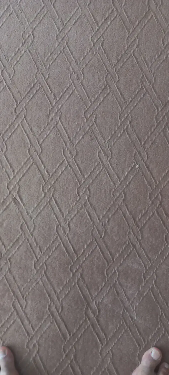 موکت رنگ شتری|موکت|مبارکه, |دیوار