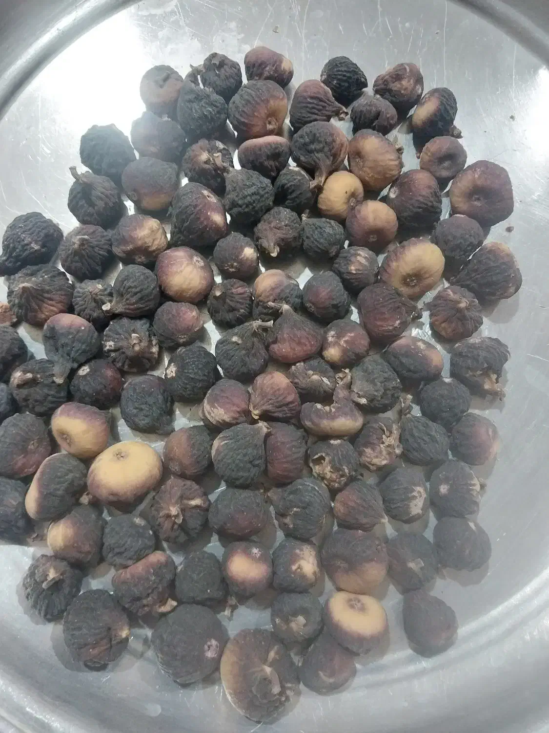 انجیرسیاه|خوردنی و آشامیدنی|شیراز, آزادی|دیوار