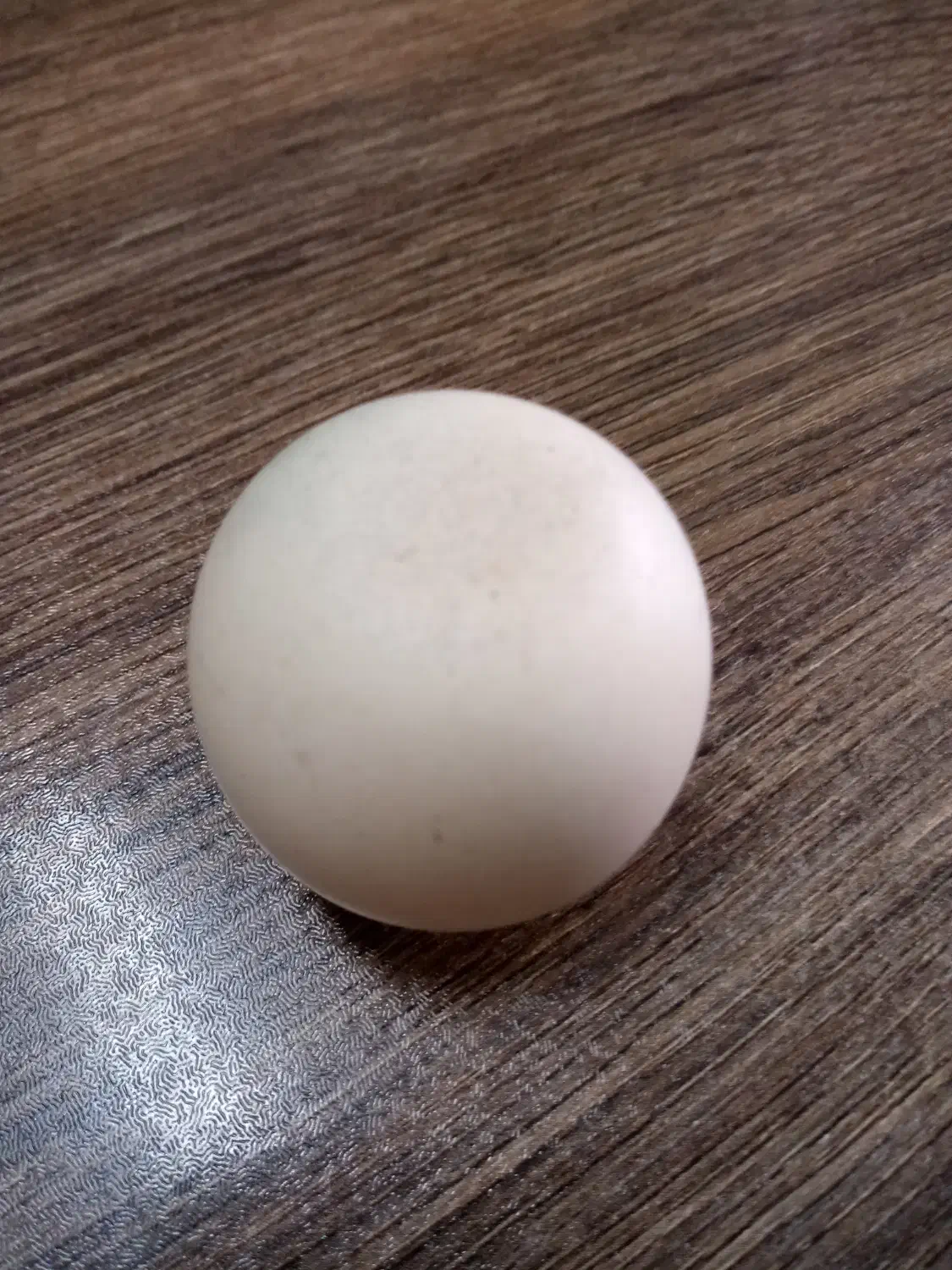 سنگ آسیاب|کلکسیون اشیاء عتیقه|سبزوار, پیام|دیوار