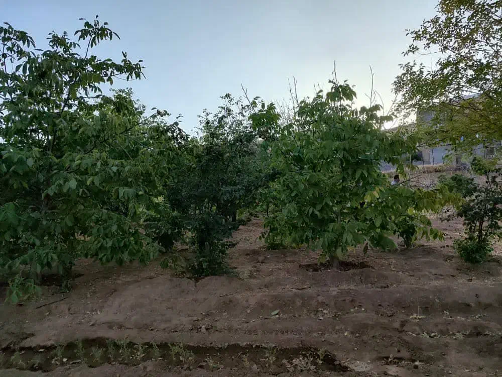 زمین مسکونی روبروی ترمینال سنندج مریوان|فروش زمین و ملک کلنگی|مریوان, |دیوار