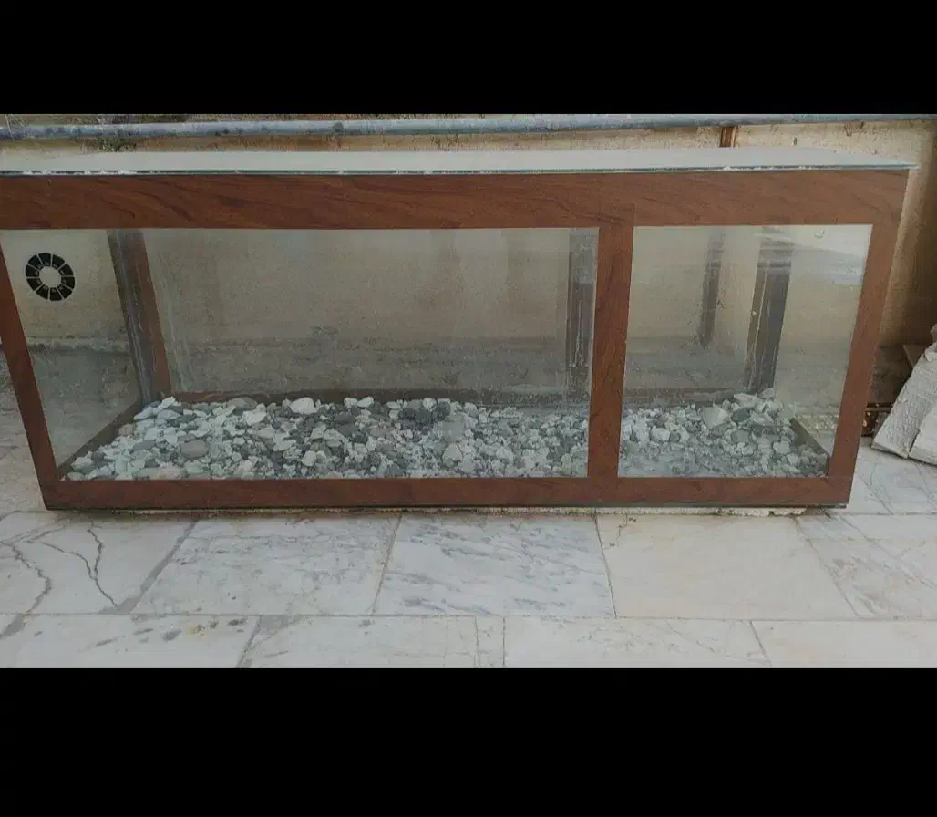 آکواریوم|ماهی|مهدی شهر, |دیوار