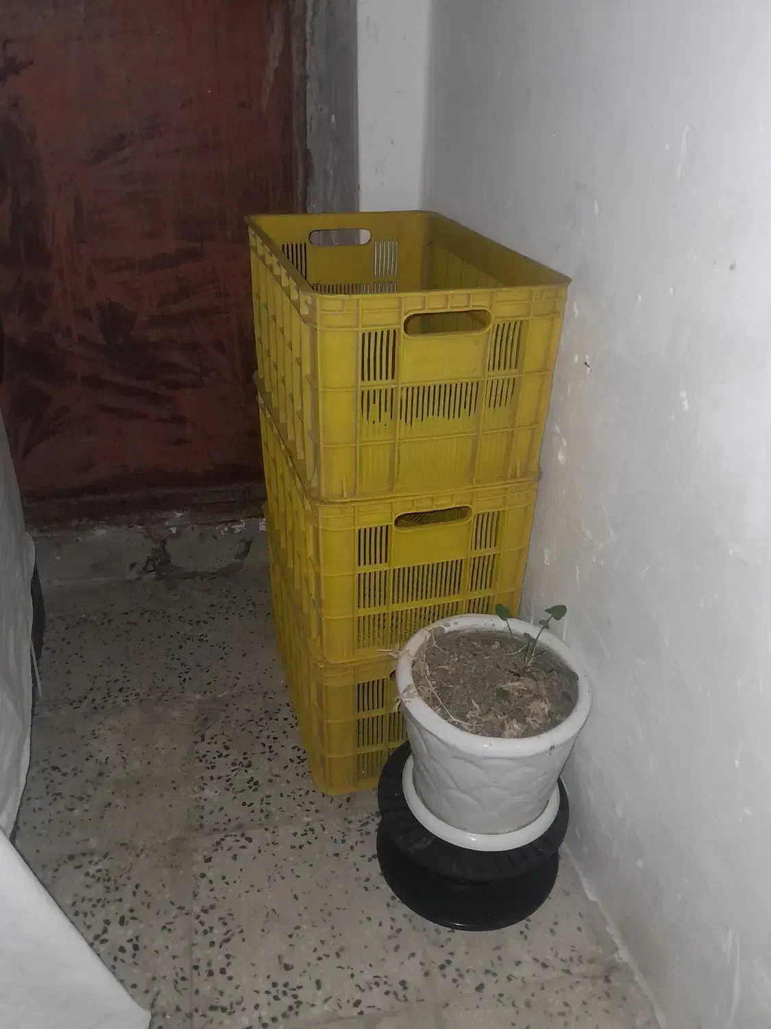 سبد|ظروف نگهدارنده، پلاستیکی، یک‌بارمصرف|ملایر, |دیوار