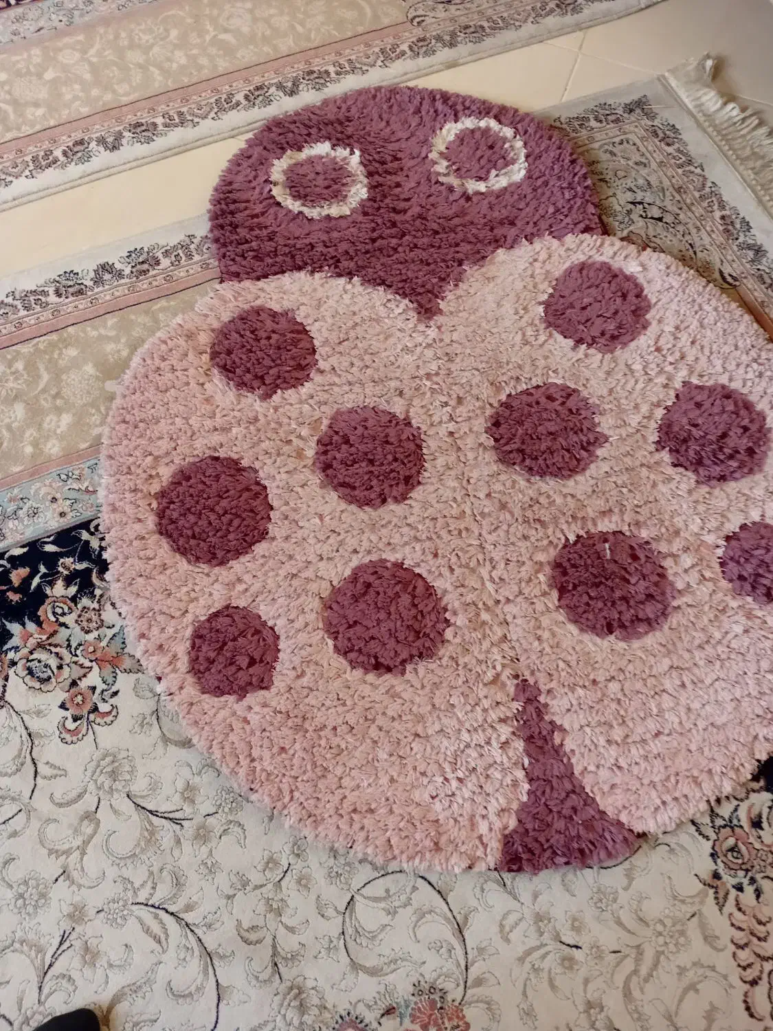 پادری کفشدوزک|پادری|شیراز, ارم|دیوار