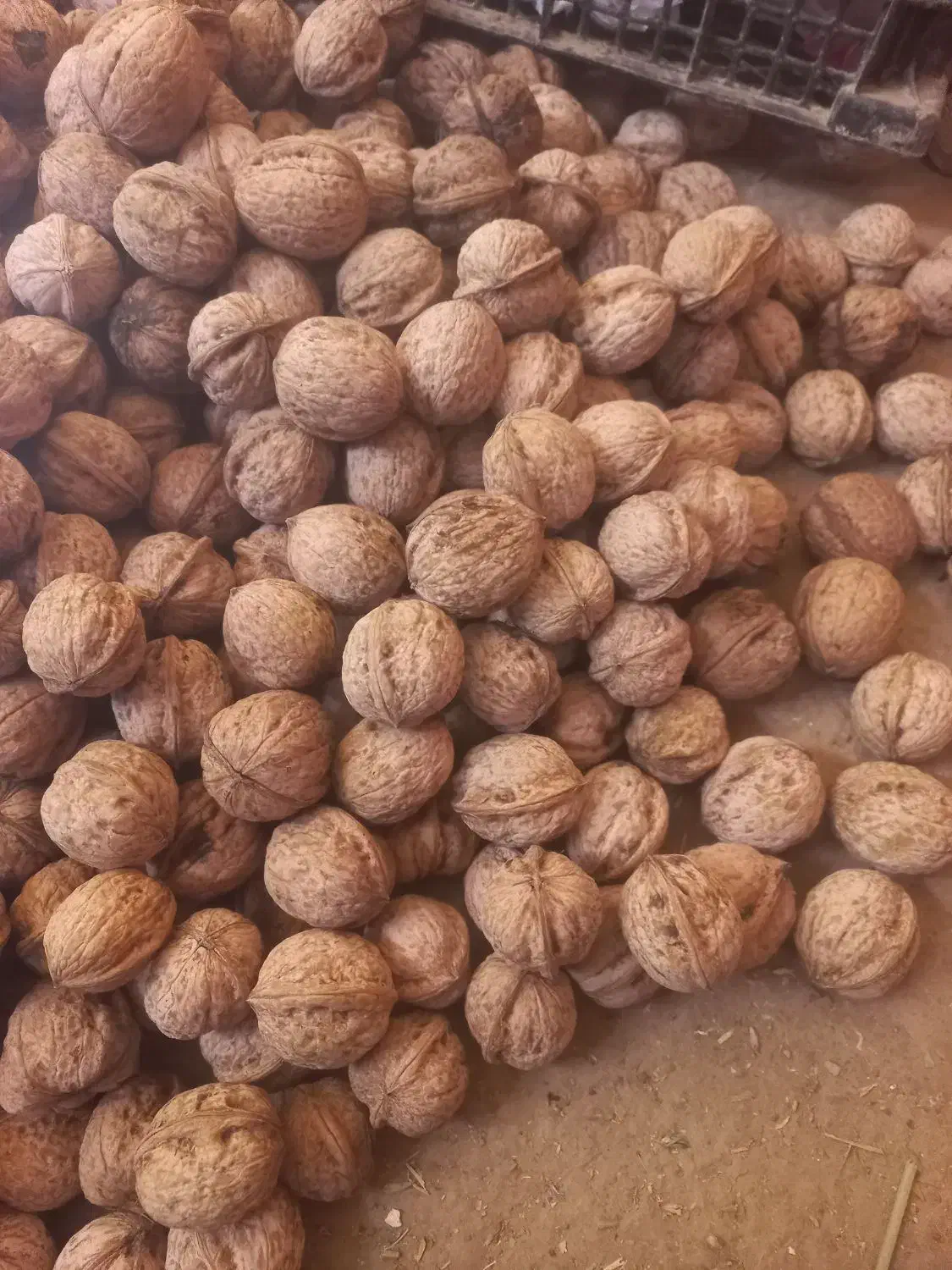 گردو|خوردنی و آشامیدنی|ماهنشان, |دیوار