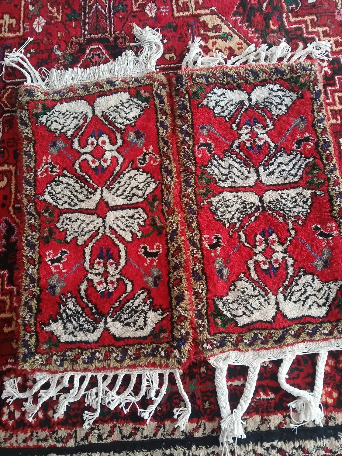 فروش جفت فرش پادری|پادری|تبریز, |دیوار