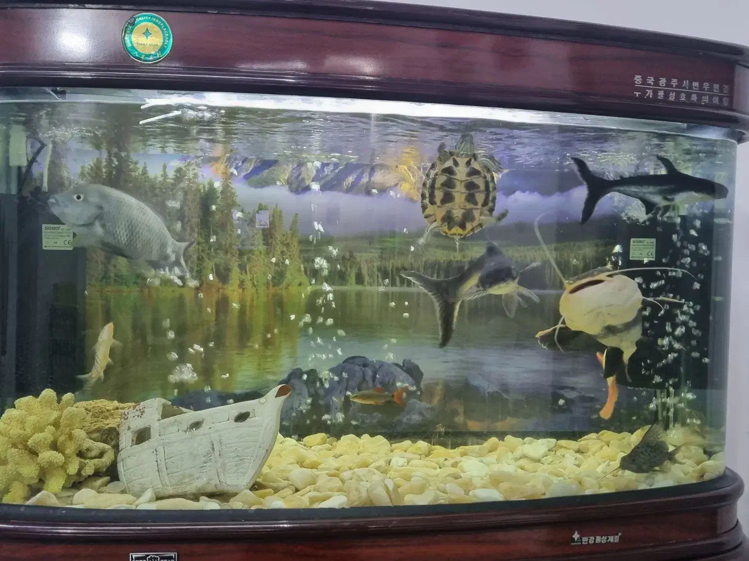 اکواریوم|ماهی|بیرجند, |دیوار