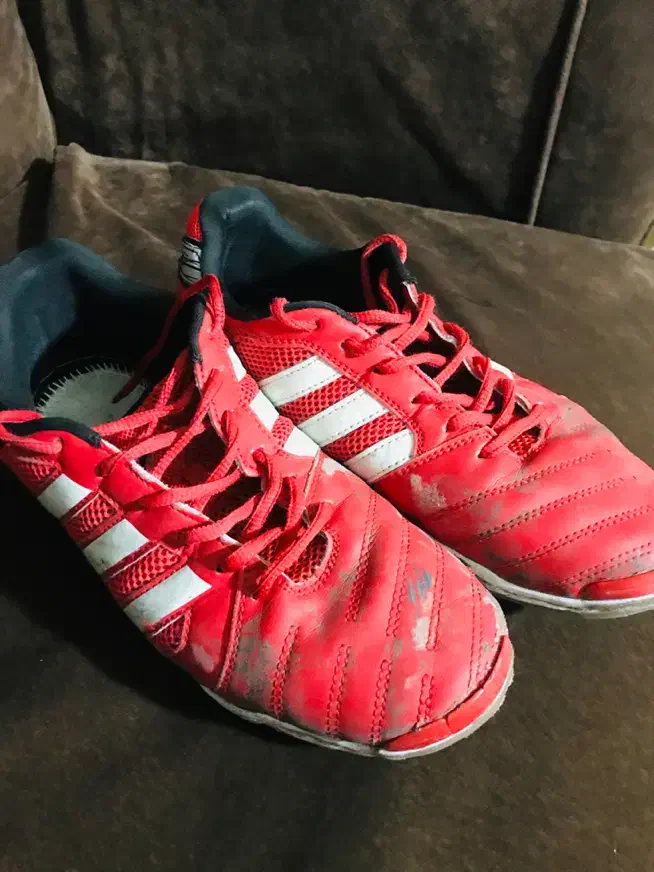 کفش سالنی تاپ سالا|تجهیزات ورزشی|گلبهار, شهر جدید گلبهار|دیوار