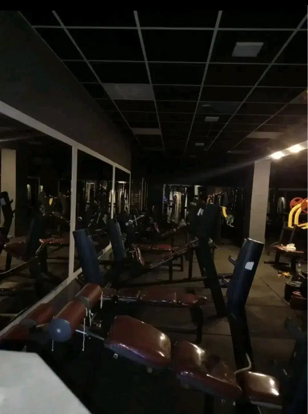 اجاره ویلایی ۲۳۰متری / تجاری / فلت|اجارهٔ خانه و ویلا|رشت, گلسار|دیوار