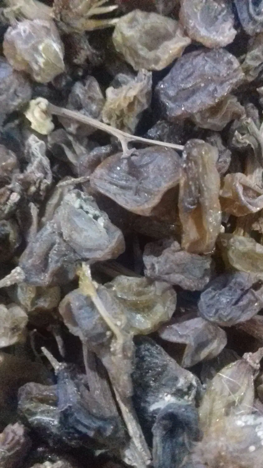 کشمش|خوردنی و آشامیدنی|کمیجان, |دیوار