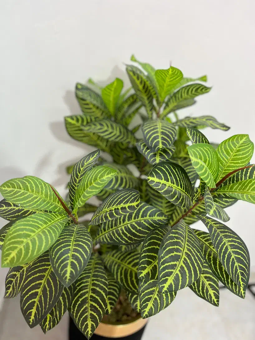 گل و گلدان|گل مصنوعی|گلستان (تهران), |دیوار