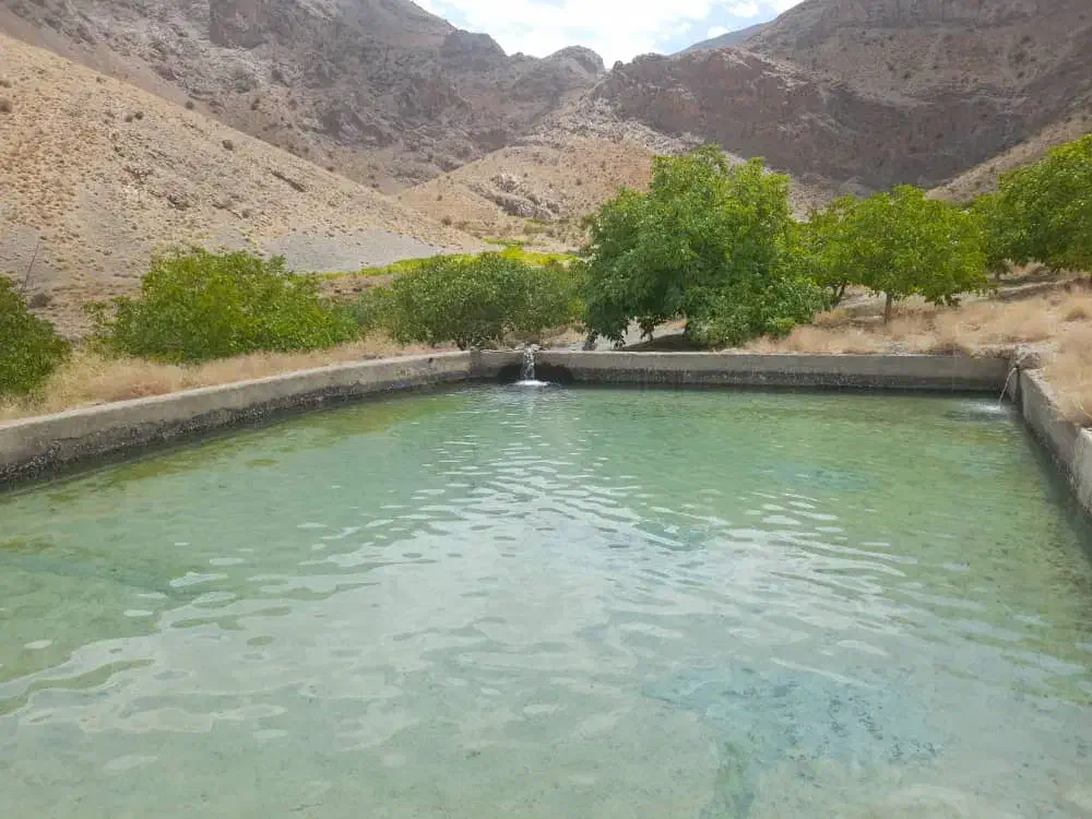 فروش مزرعه ۶ دانگ شخصی|فروش زمین و ملک کلنگی|بوانات, |دیوار