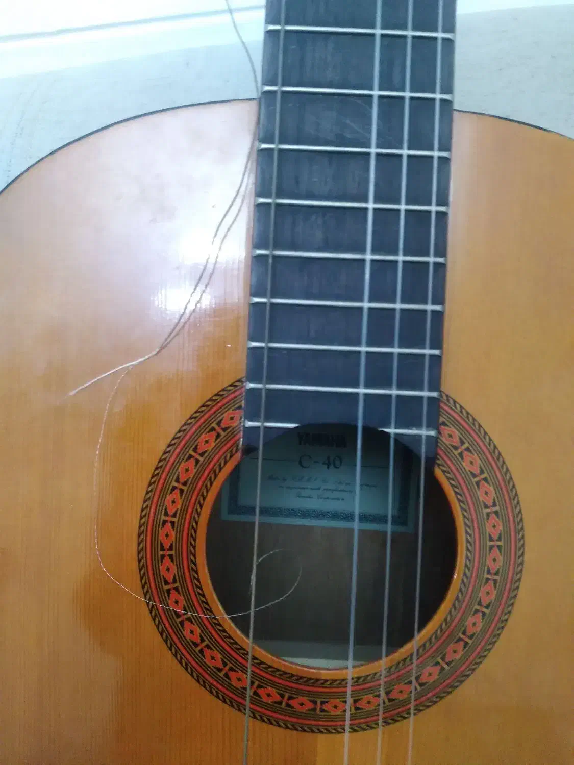 گیتار|گیتار، بیس، امپلیفایر|تهران, باغ فیض|دیوار