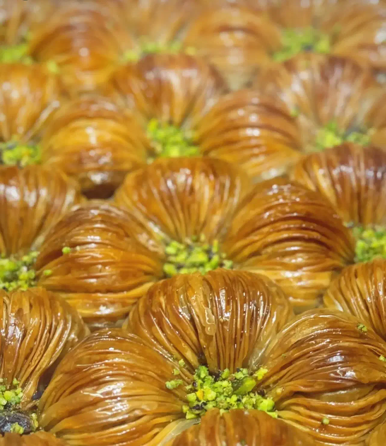 به چند همکار باقلواکار نیازمندیم|استخدام خدمات فروشگاه و رستوران|تبریز, |دیوار