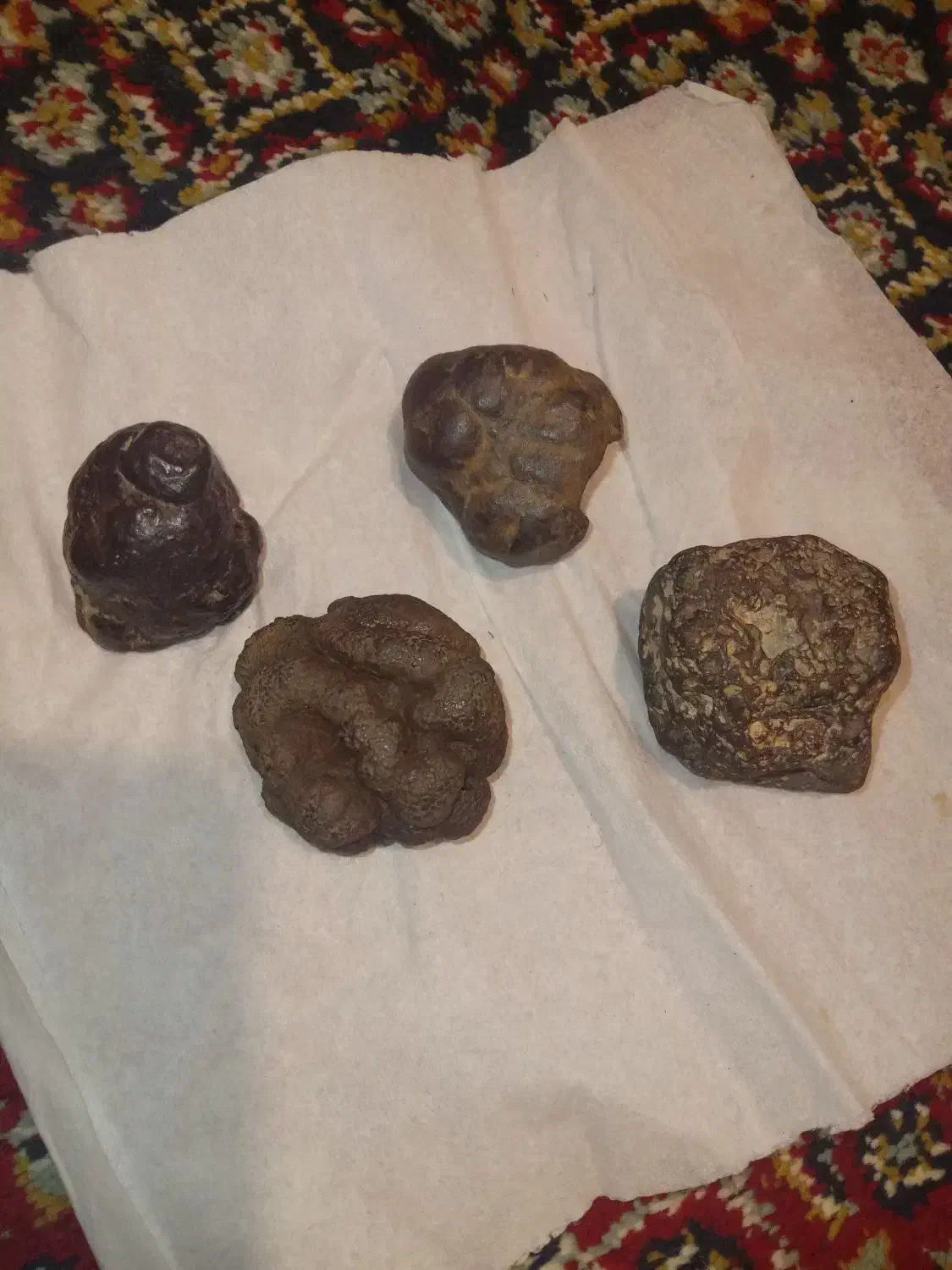 فروش چندقطعه سنگ مشکوک به شهابسنگ|کلکسیون اشیاء عتیقه|شیراز, شهرک مخابرات|دیوار