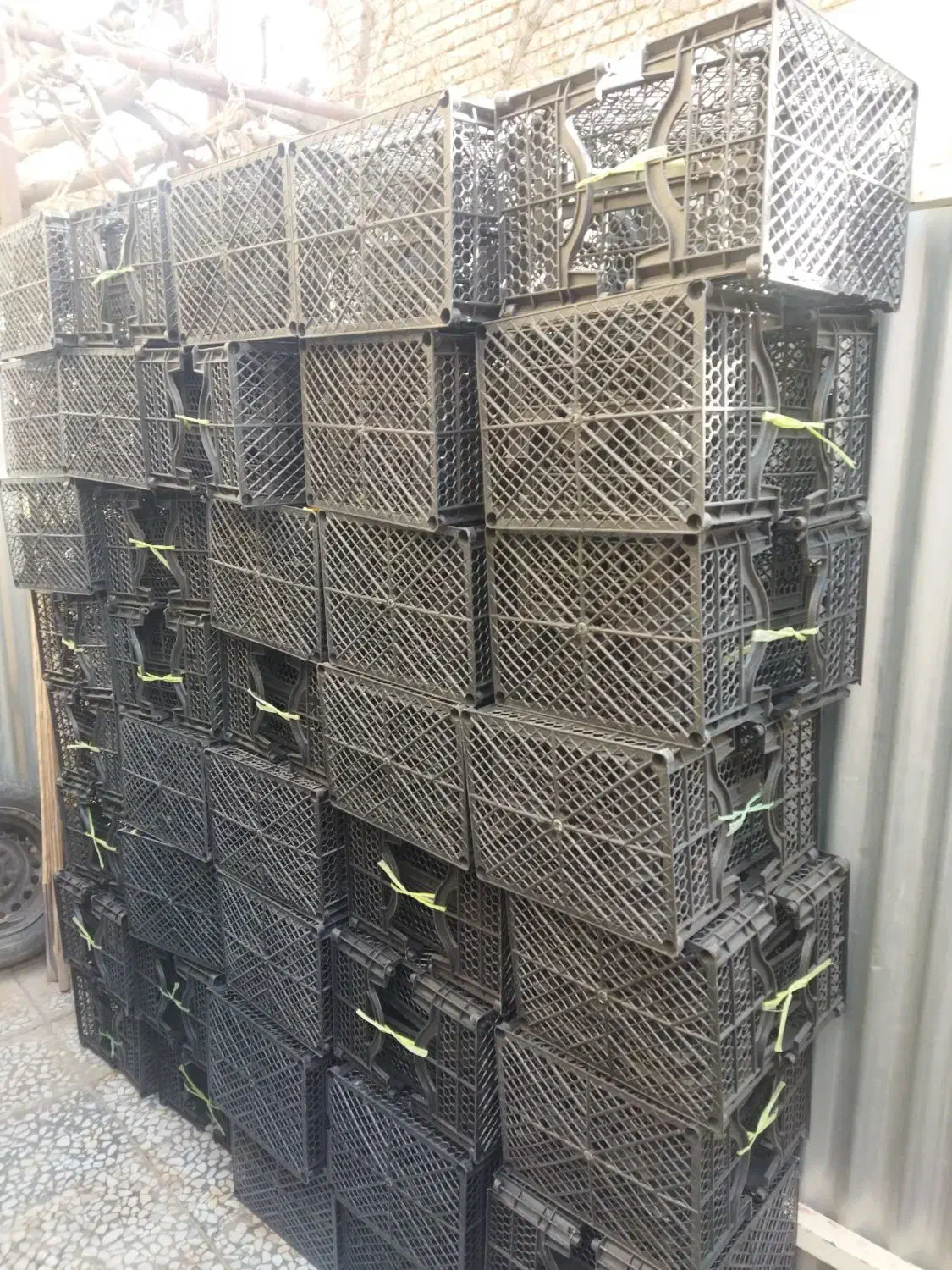 سبد میوه ای درجه یک|ظروف نگهدارنده، پلاستیکی، یک‌بارمصرف|خمینی‌شهر, |دیوار