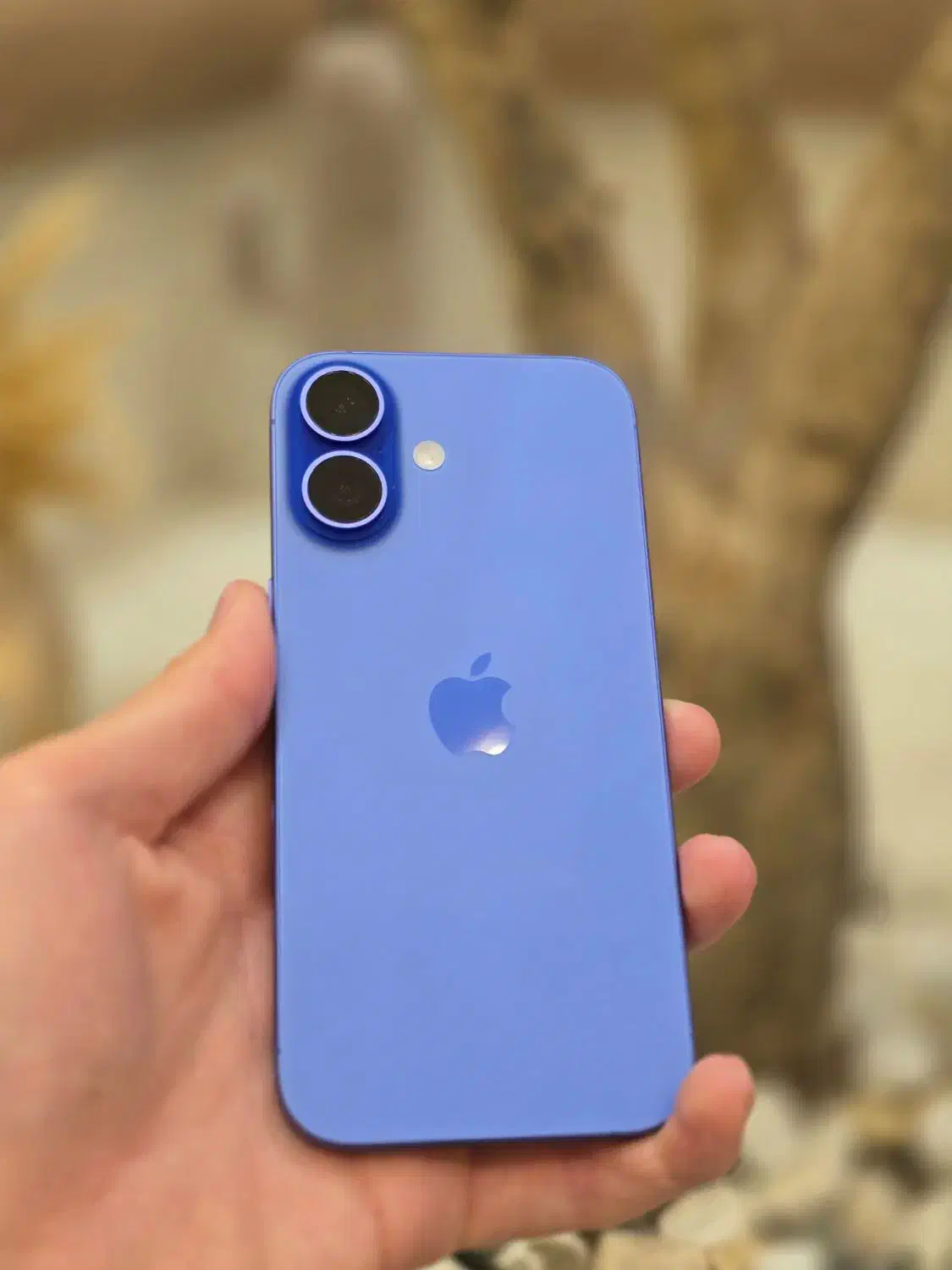 آیفون ۱۶ نرمال|موبایل|یاسوج, |دیوار