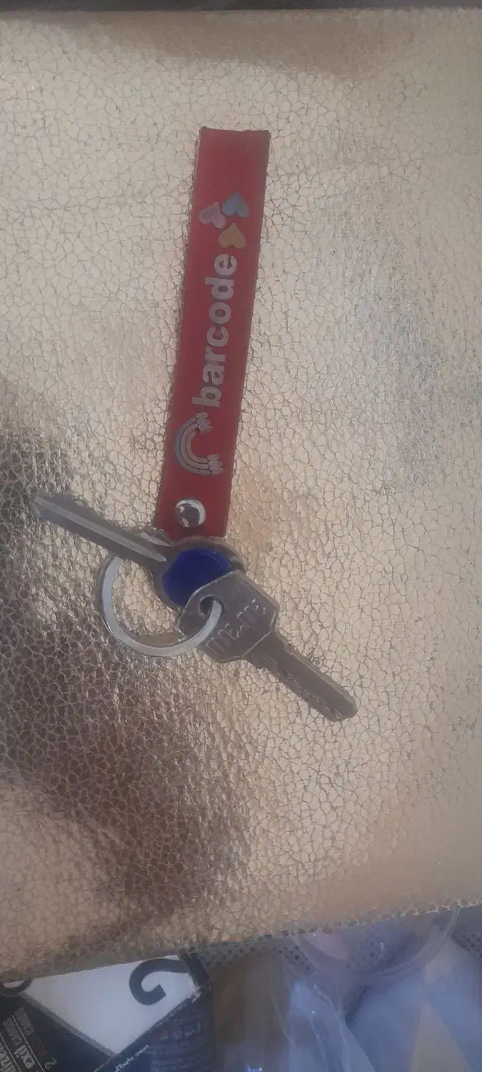 دو عدد کلید پیداشده|اشیا|اصفهان, پوریای ولی|دیوار