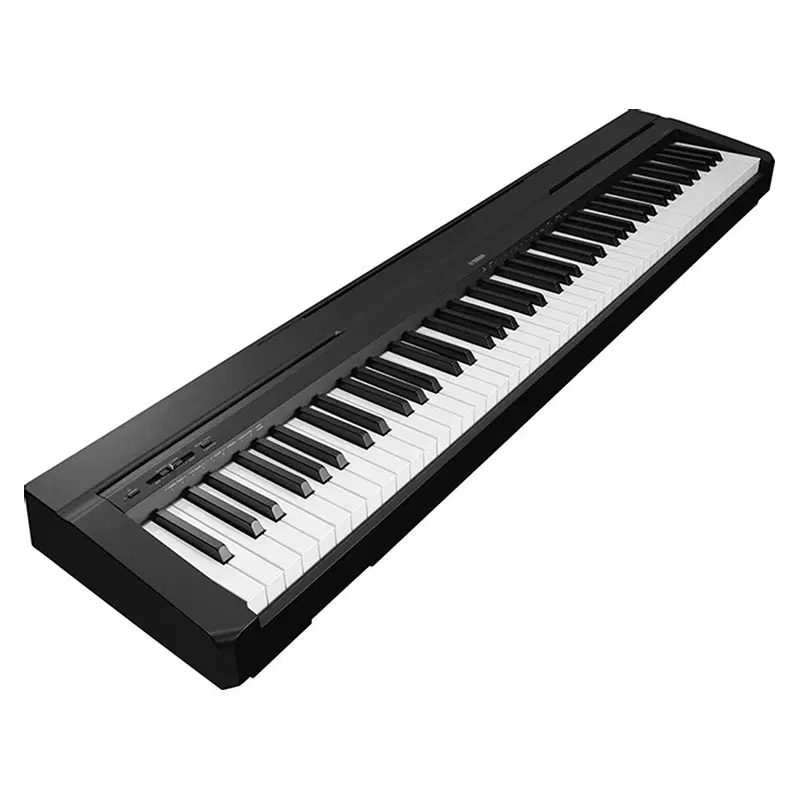 YAMAHA P-45B|پیانو، کیبورد، آکاردئون|بیرجند, |دیوار