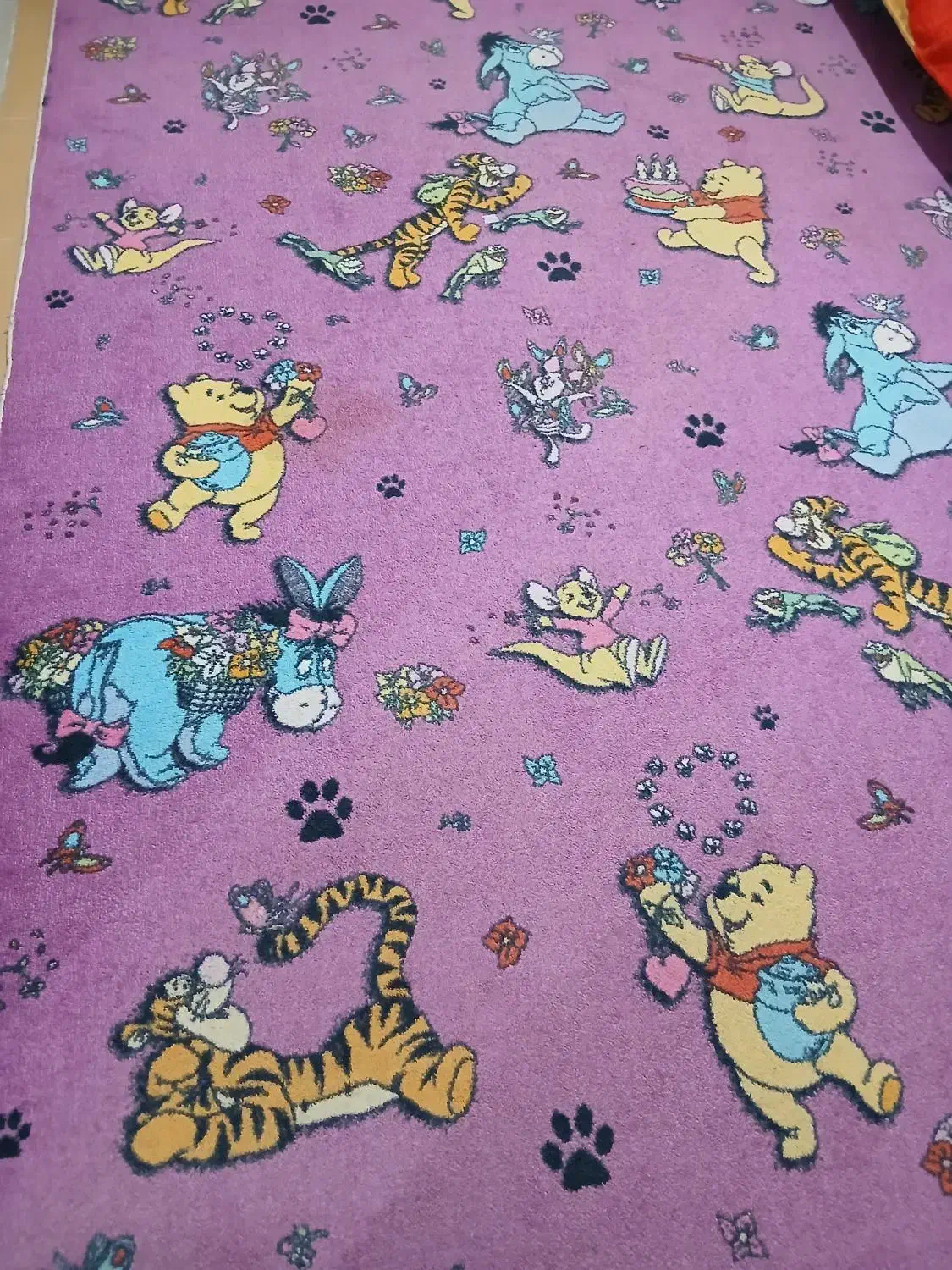 ۱۲مترپالازموکت|موکت|کرمانشاه, |دیوار