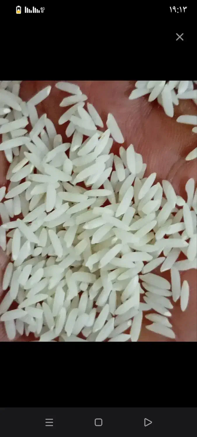 برنج طارم فجر محلی عطری امسالی وصدری دم سیاه اعلا|خوردنی و آشامیدنی|مشهد, رضاشهر|دیوار