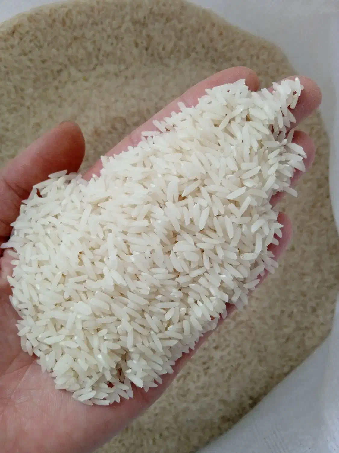 برنج ایرانی درجه1|خوردنی و آشامیدنی|اهر, |دیوار