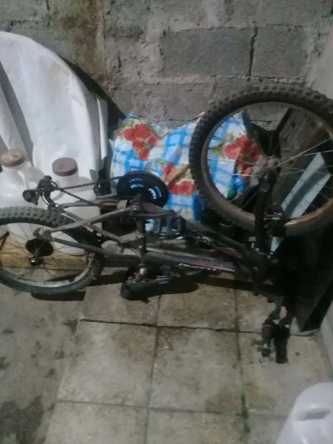 سلام یک دستگاه دوچرخه دندهای بفروش میرشد|دوچرخه، اسکیت، اسکوتر|رشت, بیجارپس|دیوار