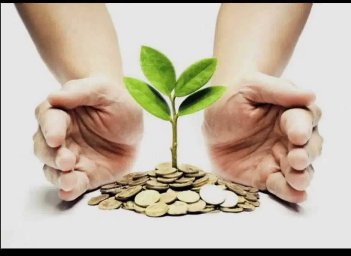 نیاز به سرمایه|استخدام مالی، حسابداری، حقوقی|یزد, |دیوار