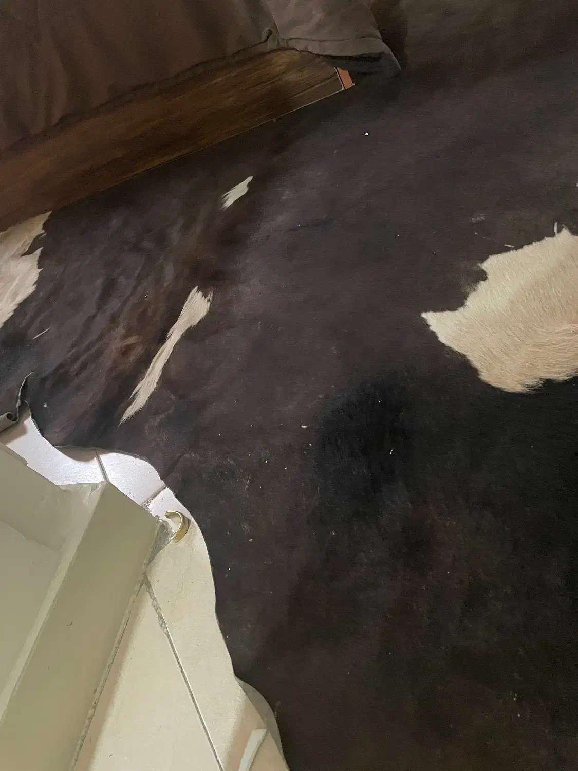 پوست|پشتی|تهران, امام حسین|دیوار