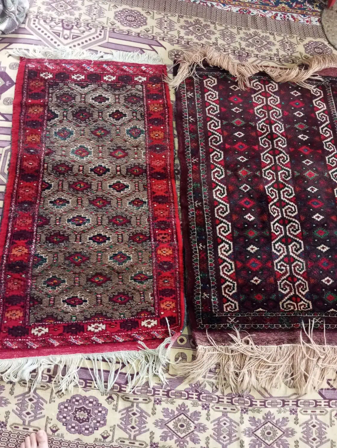 قالیچه ونمازلیق|فرش|گنبد کاووس, |دیوار