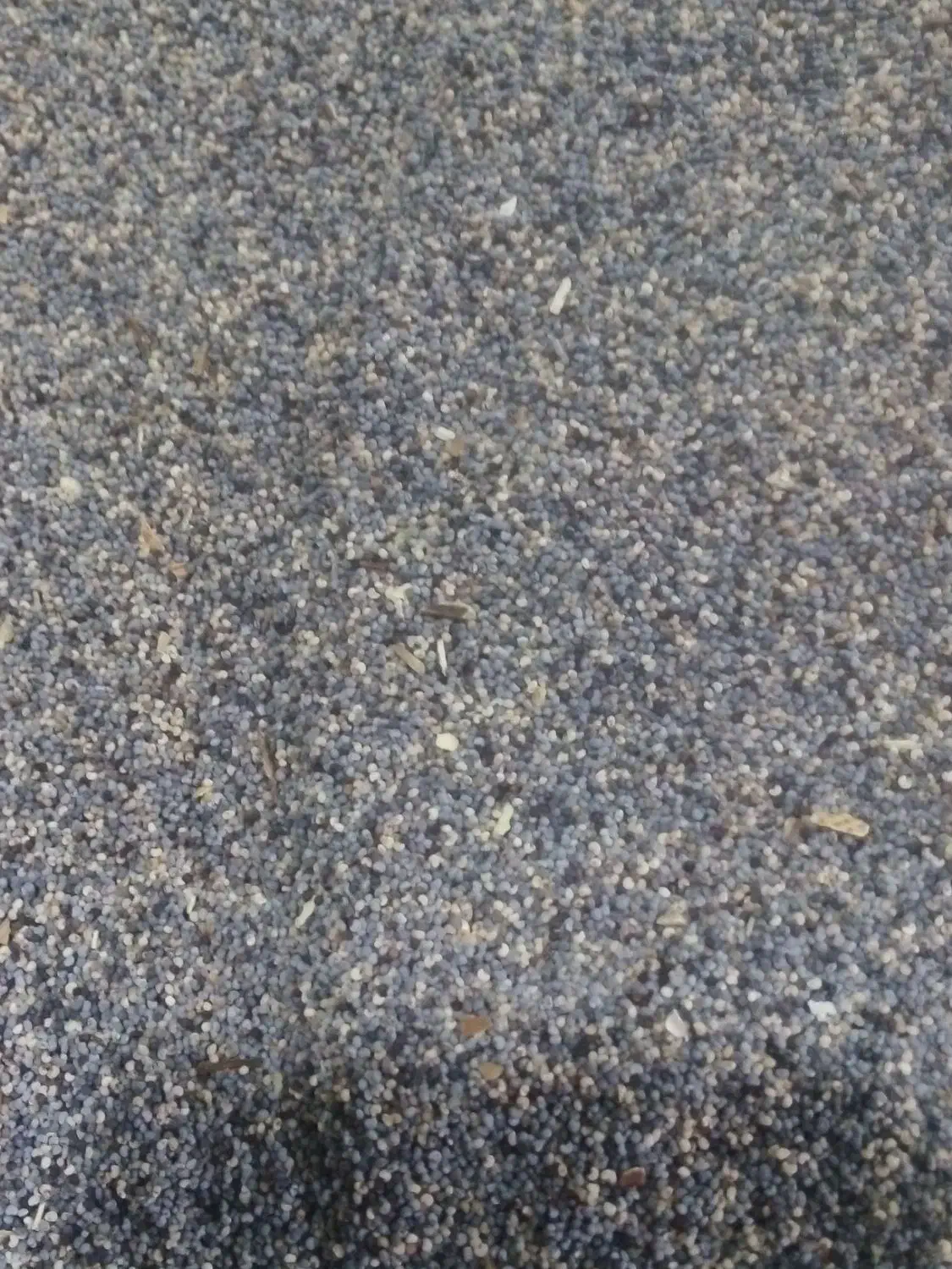 دانه خشخاش روغنی درمانی خشخاش|آرایشی، بهداشتی، درمانی|صحنه, |دیوار