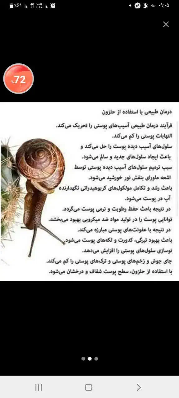 حلزون مولد|خزنده|دزفول, |دیوار