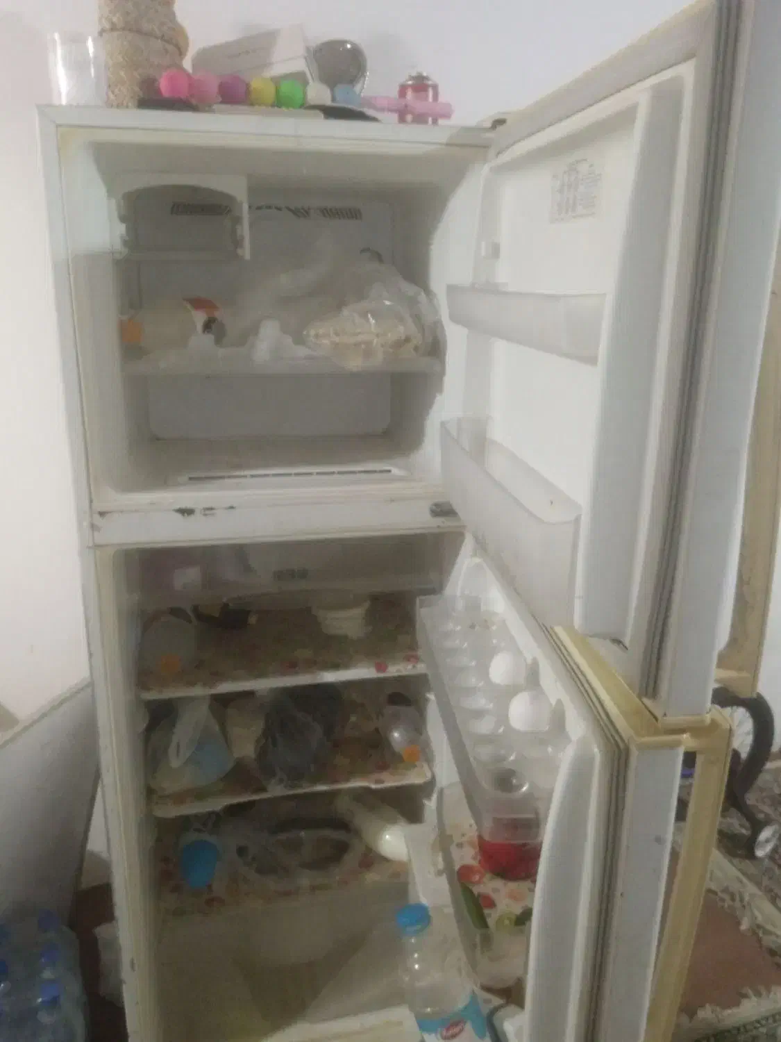 یخچال سامسونگ|یخچال و فریزر|کیش, |دیوار