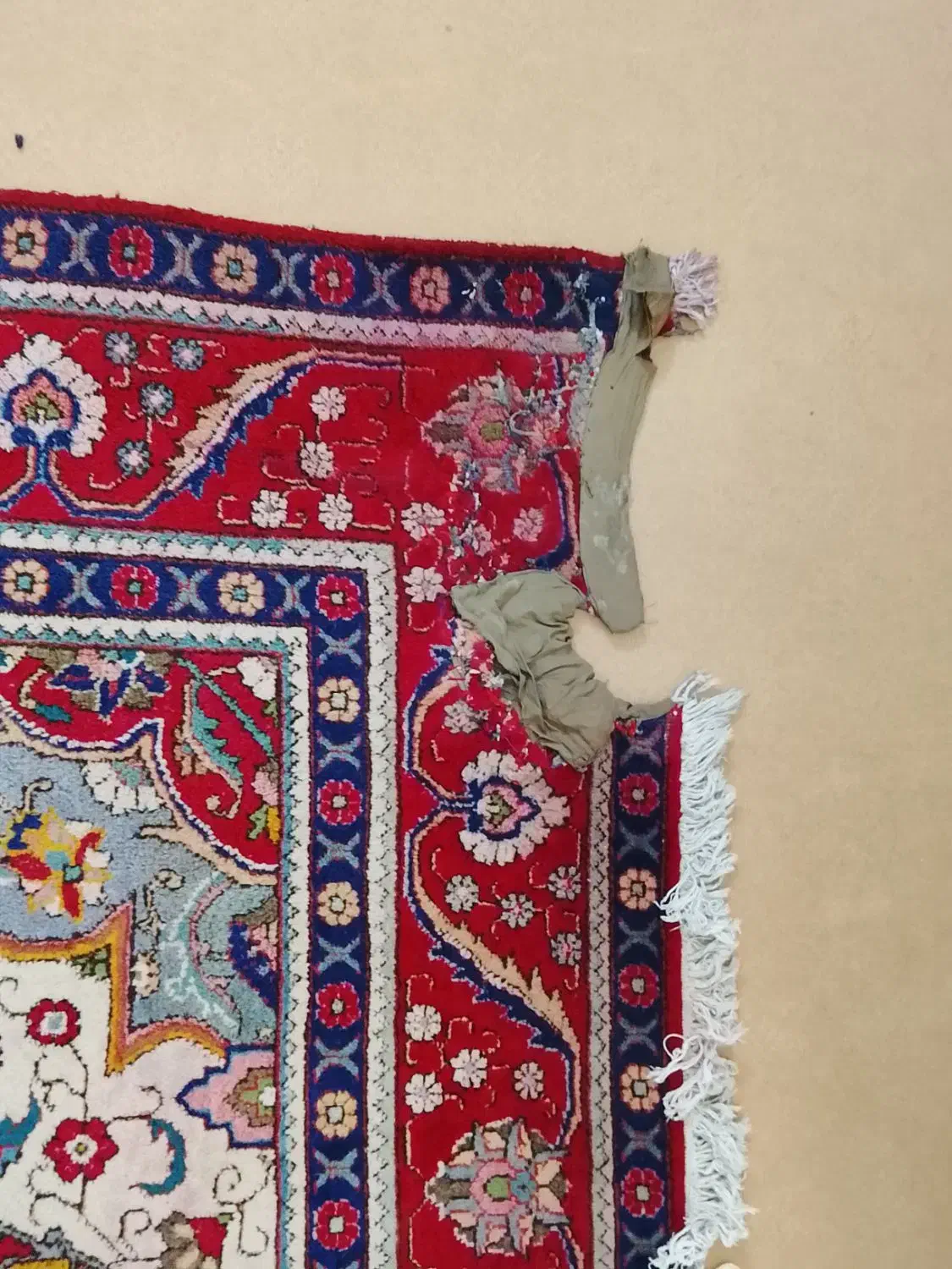 فرش|فرش|زنجان, |دیوار