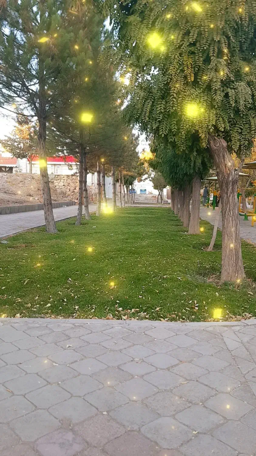 کیف پول پیدا شده|اشیا|مراغه, |دیوار