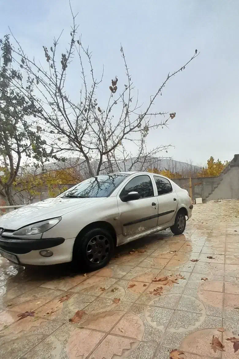 ۲۰۶sdمدل88|خودرو سواری و وانت|قزوین, |دیوار