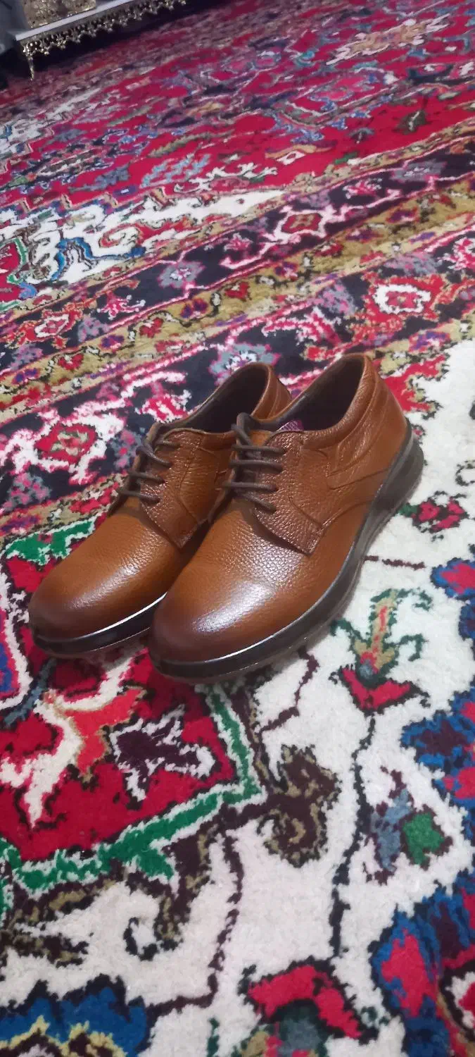 دوجفت کفش مردانه|کیف، کفش، کمربند|تبریز, |دیوار