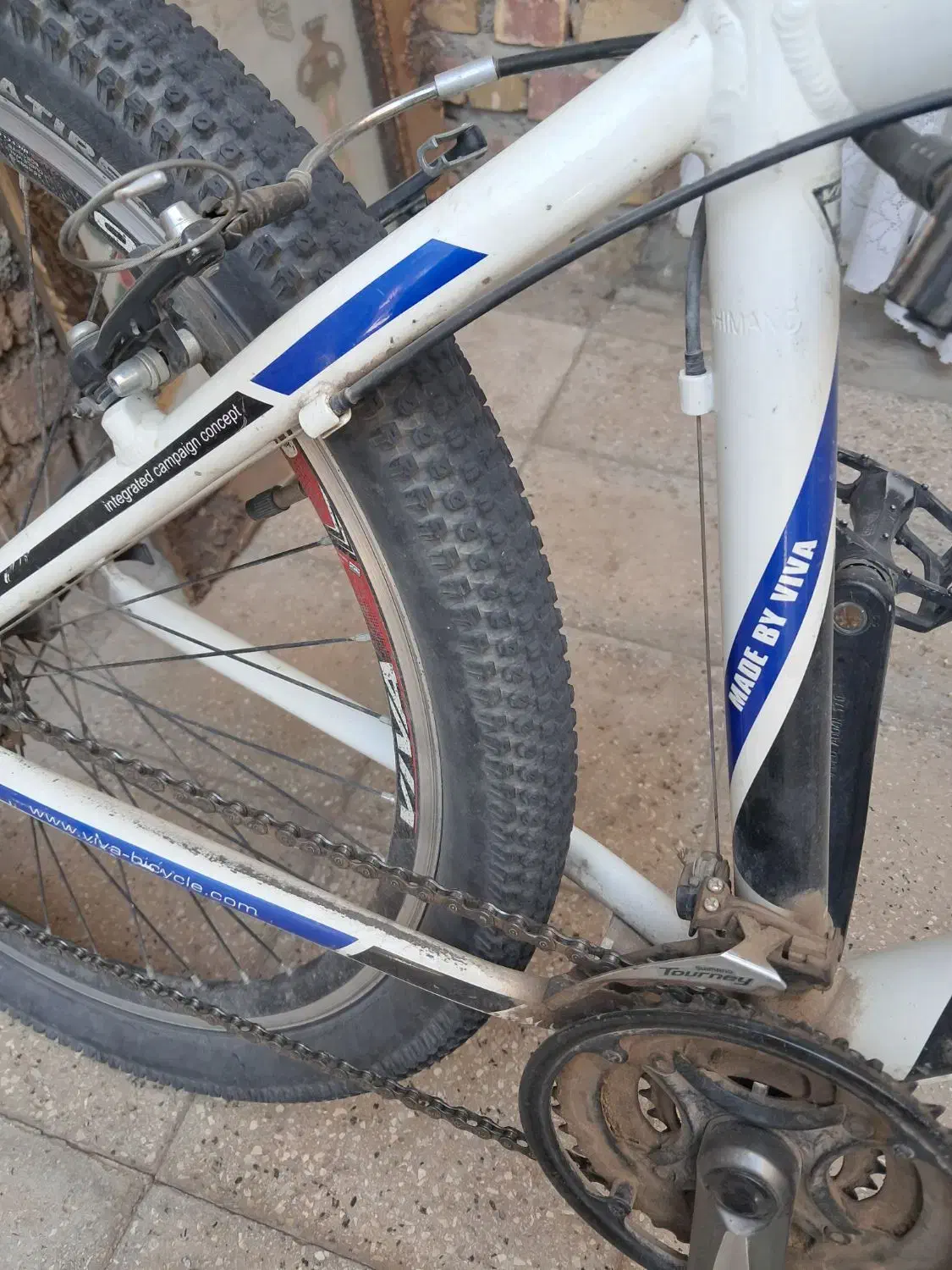 دو چرخه ویوا ۲۴ دنده سایز ۲۶ سالم|دوچرخه، اسکیت، اسکوتر|تربت جام, شهرک معلم|دیوار