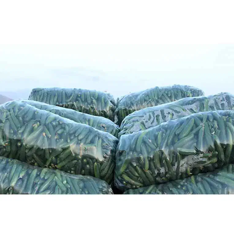 پلاستیک خیاری، گوشت و مرغ (کف قیمت)|ظروف نگهدارنده، پلاستیکی، یک‌بارمصرف|قم, انسجام|دیوار