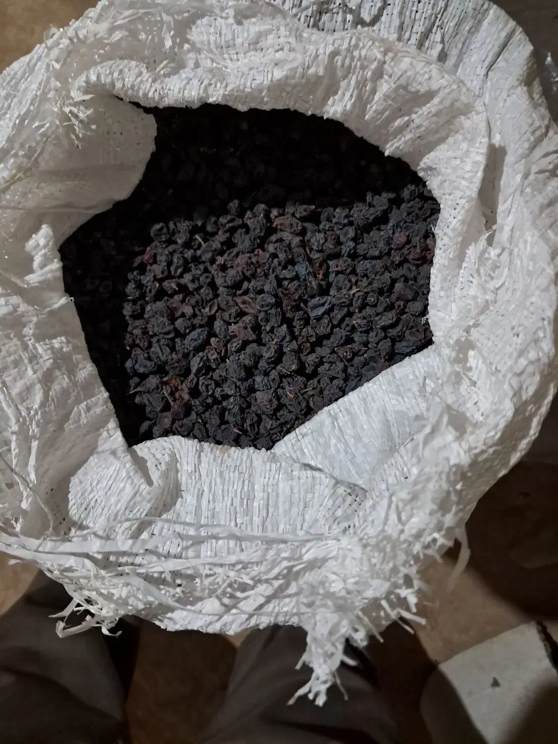 کشمش یاقوتی|خوردنی و آشامیدنی|بروجرد, |دیوار