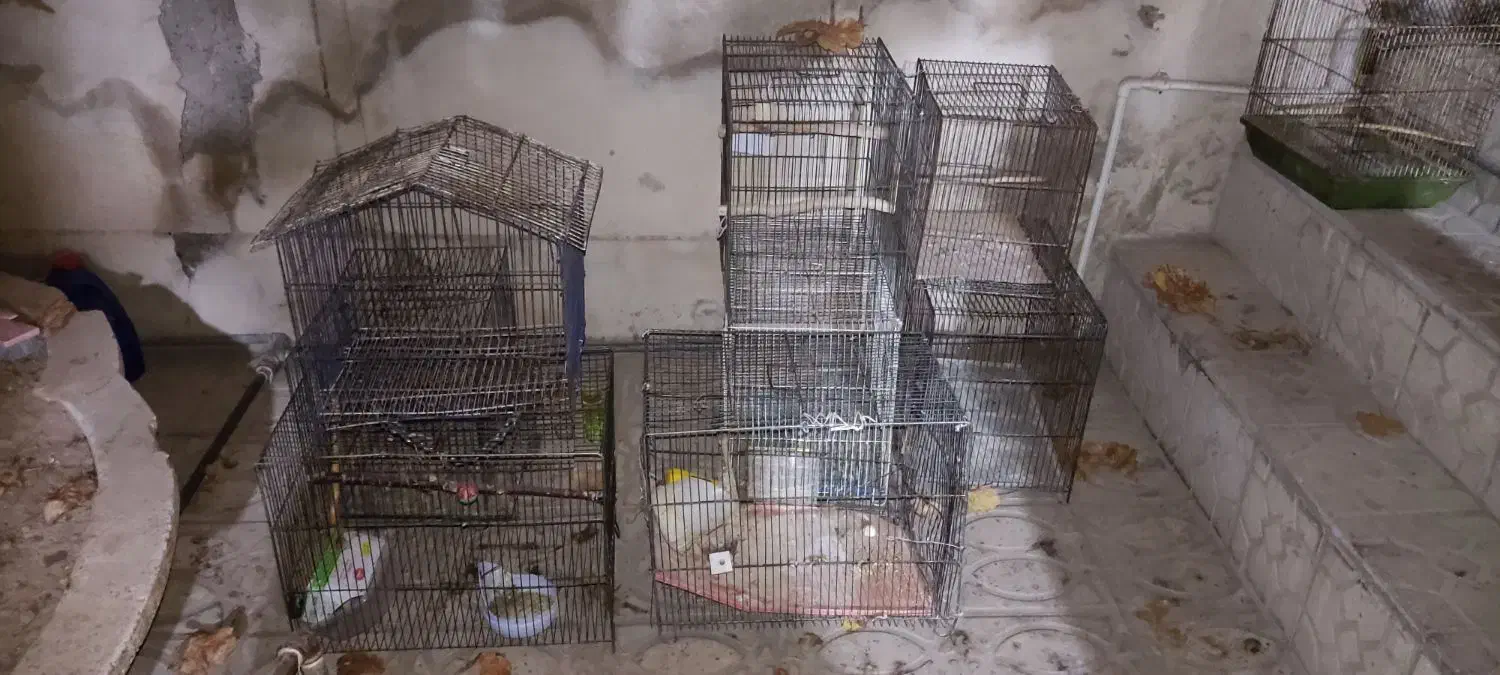 قفس|لوازم جانبی حیوانات|قزوین, |دیوار