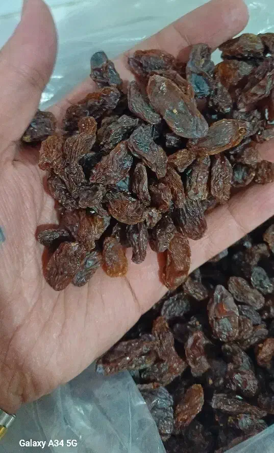 کشمش ومویز خرمامخصوص آبگیری بهمراه چرخ کردن رایگان|خوردنی و آشامیدنی|کرمانشاه, |دیوار