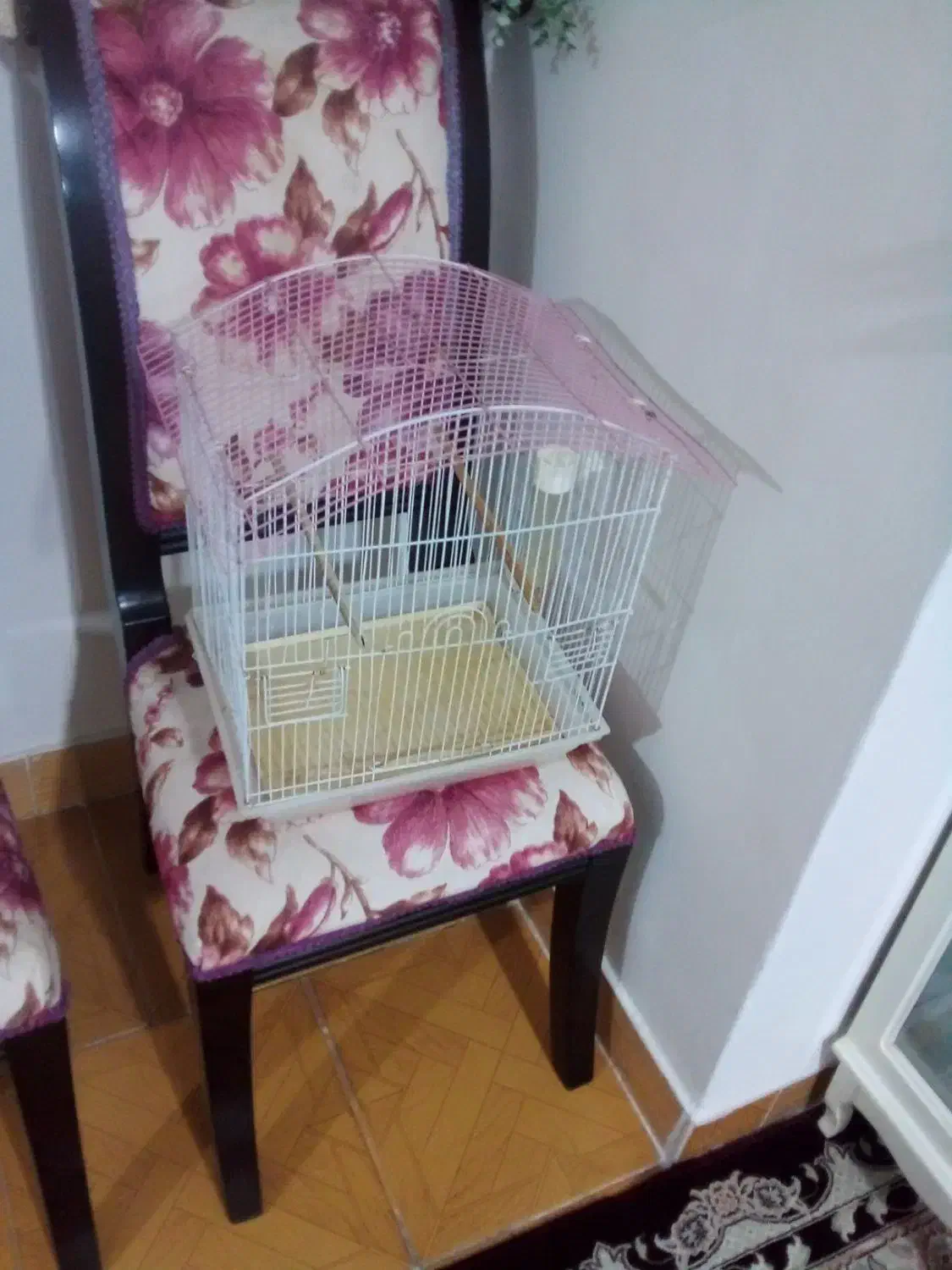 قفس|لوازم جانبی حیوانات|ملارد, |دیوار